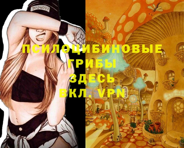 спайс Алзамай