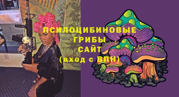 дурь Алексин