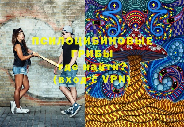 дурь Алексин