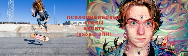 дурь Алексин