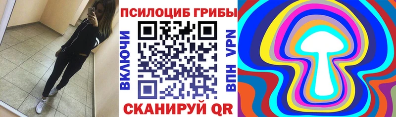МЕГА вход  продажа наркотиков  Туймазы  Галлюциногенные грибы GOLDEN TEACHER 